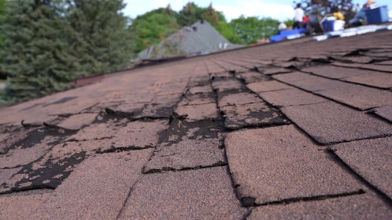 Best Skylight Installation and Repair  in Owatonna, MN