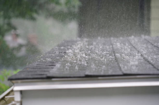 Best Gutter Installation and Repair  in Owatonna, MN