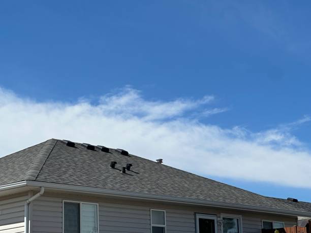 Best 4 Ply Roofing  in Owatonna, MN